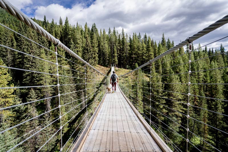 wire rope swing bridge